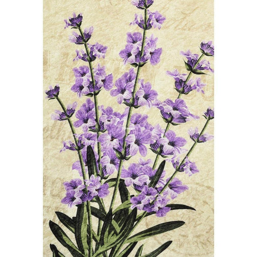 Lavender Dijital Baskılı Çap100cm Banyo Halısı, Kaymaz Taban, Yıkanabilir Bonvagon